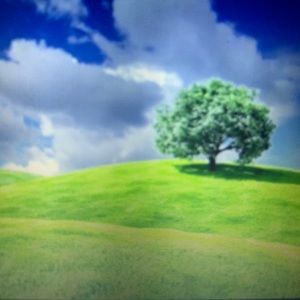 Meet your Posher, Laurice